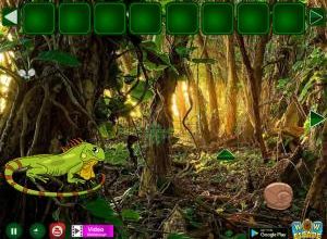 Escape from iguana forest soluce