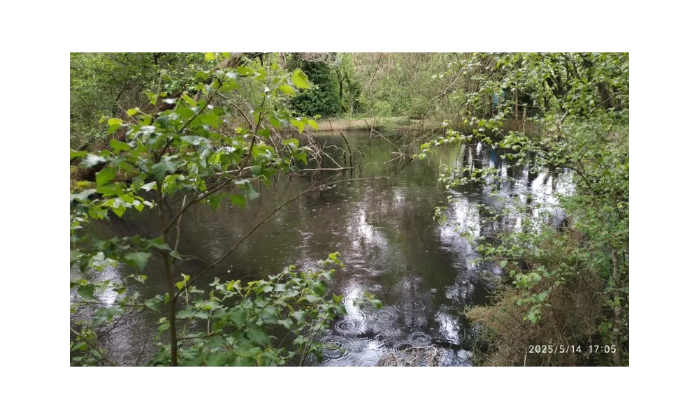 "LA MARE AU POIVRE" (Morbihan - 56)