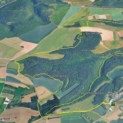 "Balade au clair de lune…ou pas" - Samedi 08 novembre 2025