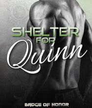 Online pdf ebook download Shelter for Quinn RTF PDB