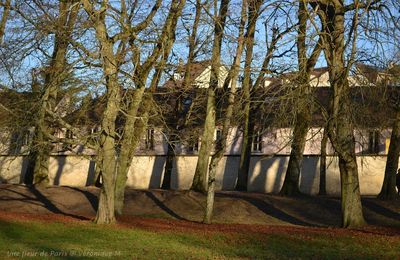 Rambouillet : Balade en allant chez ma fille ... 