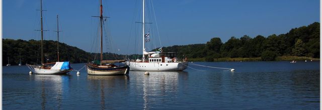 56 . Morbihan - La Roche-Bernard (2) - Port sur la Vilaine