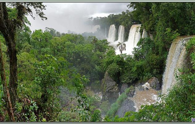 Toujours sous la pluie, les chutes d'Iguazu vues du "Circuito Superior" - Puerto Iguazu - Argentine
