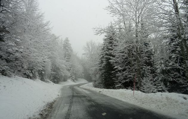 Le 13 mars 2018: L'enterrement de l'hiver