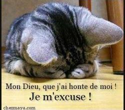 Le journal mystère enfin résolus?