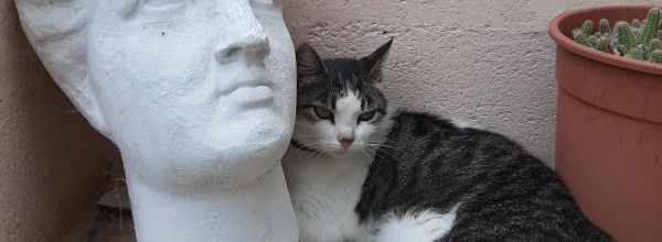 Lundi - Une petite pause estivale...