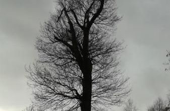 La Mezzanine — Le dernier récit de Catarina Quia, Anne-Marie Albiach (Seuil)