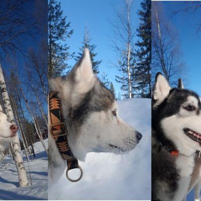 Il tire sa révérence....