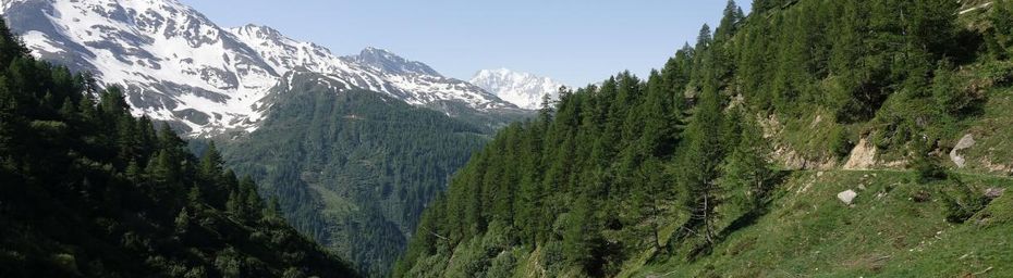 Deux bisses dans le Gandertal #2 La Giebjeri