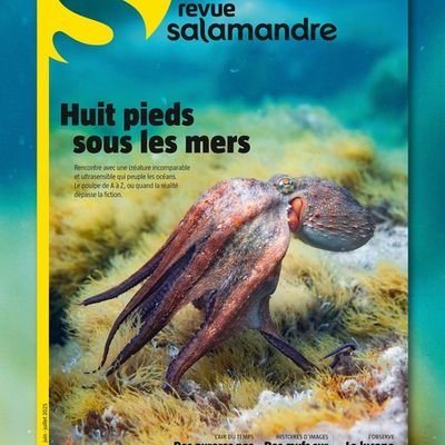 Les Salamandre de juin-juillet-