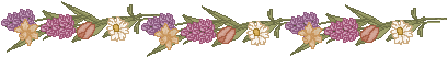 nuancier
