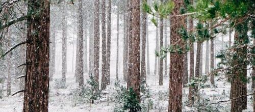 L'hiver...