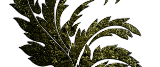 Ѽ Vegetation 