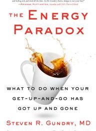 DOWNLOADS The Energy Paradox: What to Do When Your Get-Up-and-Go Has Got Up and Gone