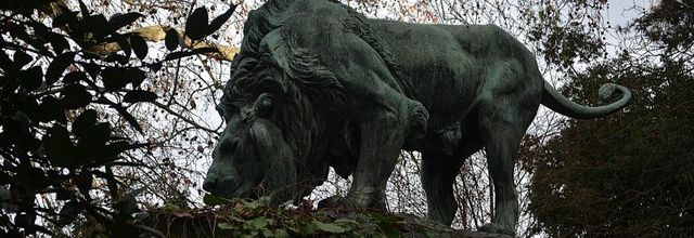 Jardin des Plantes : La Fontaine aux Lions
