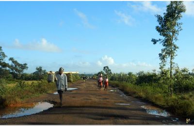  VIVRE  A  MADAGASCAR