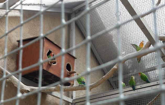 Jardin Botanique le 6 juillet...