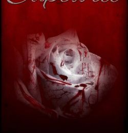 The Captive, Tome 1 : Capturée de Erica Stevens