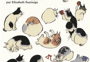 20 ans avec mon chat