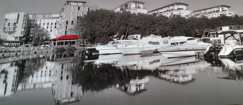 Bords de l'Erdre au Canal St Félix.