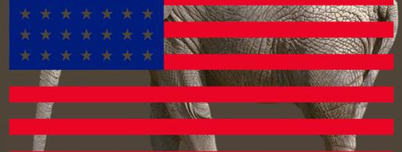 SUPER TUESDAY-POEMS FROM MARDI