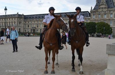 La Garde Républicaine au Jardin des Tuileries 