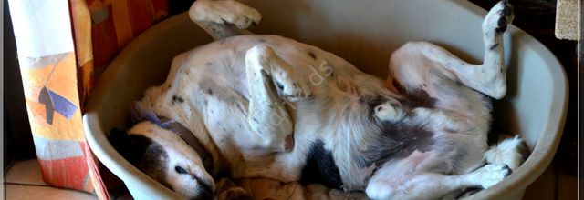 L'heure de la sieste