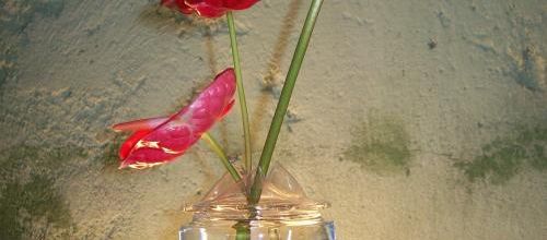 vases