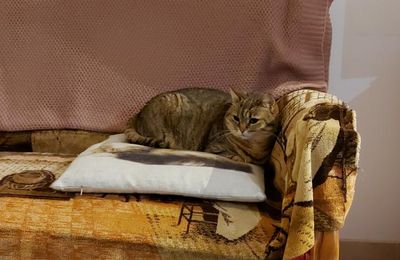 Dimanche c'est Quya