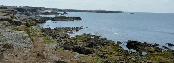 Yeu : sentier du Ponant (2/2)