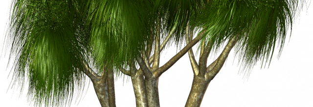 ѼVegetation