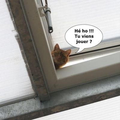 Peux pas, j'ai cassé un vase....