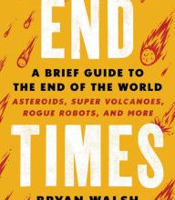Free pdf books downloads End Times: A Brief Guide to the End of the World (English literature) RTF DJVU PDB 9780316449618