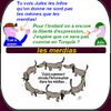 On ne rate pas l'humour du mercredi même entre les fêtes.