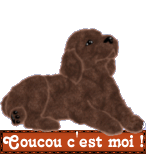 Que dire !!!! que vous êtes ..... 3