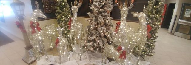 Les Temps des Fêtes au Collège Nouvelles Frontières