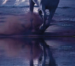 crea reflet