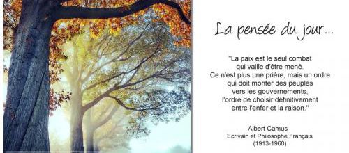 La pensée du jour (8)