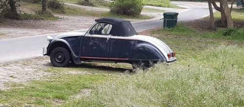 Petit cabrio  du jour 