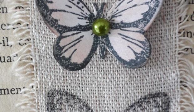 Tag aux papillons