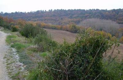 SERGE BARLAN- ARAGON DOMAINE DE BANCALIS (Dept11) Site offert au club le Béryl de Tournefeuille en 1991