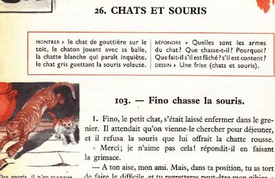 Dumas CE1 S26 Chats et souris