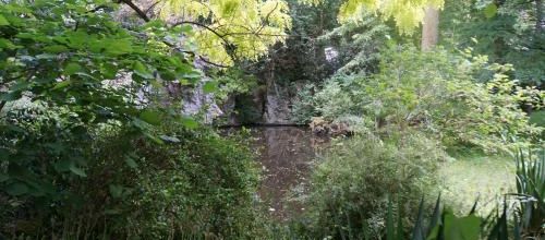le jardin d'Albert Khan