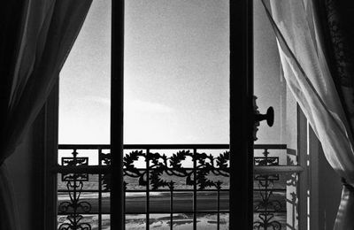 FENËTRE SUR PROUST