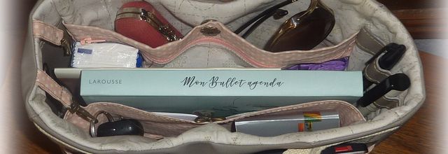 Organiseur de Sac...