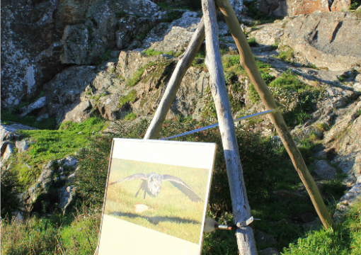 Balade à La Roche-Bernard