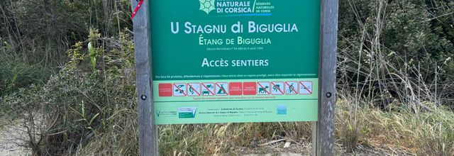Balade le long de l'étang de Biguglia