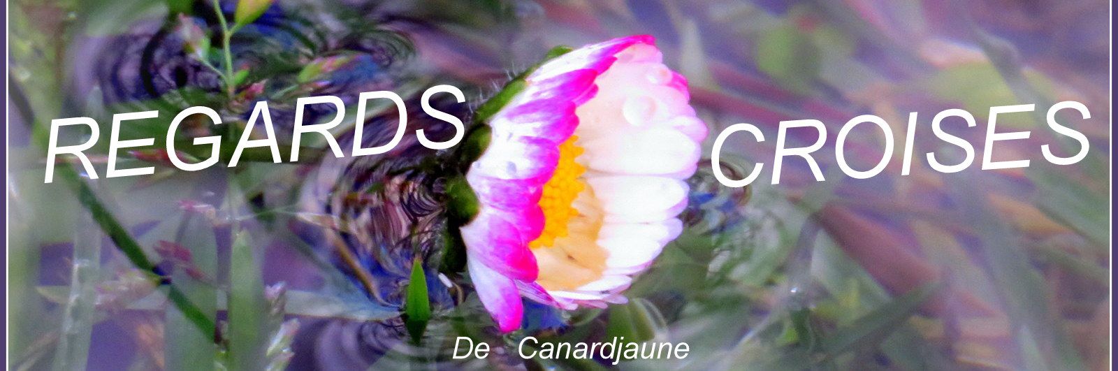 Header cover