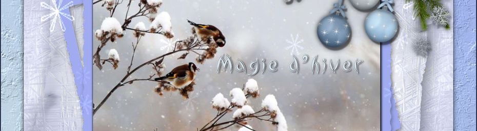 Magie d'hiver 