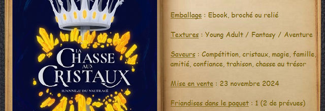 La Chasse aux Cristaux T1 - L'anneau du naufragé - Alicia Alvarez